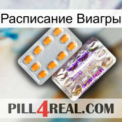 Расписание Виагры new12